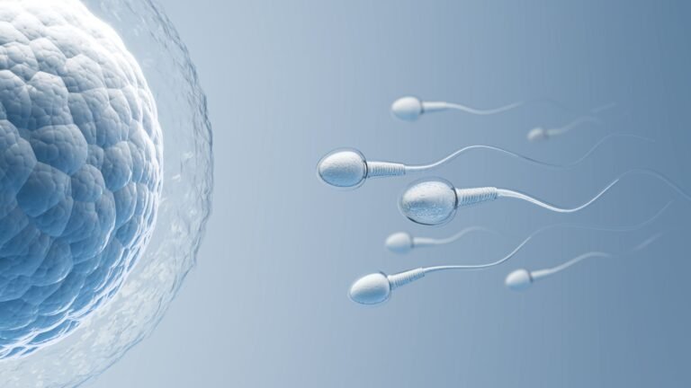 Male Fertility